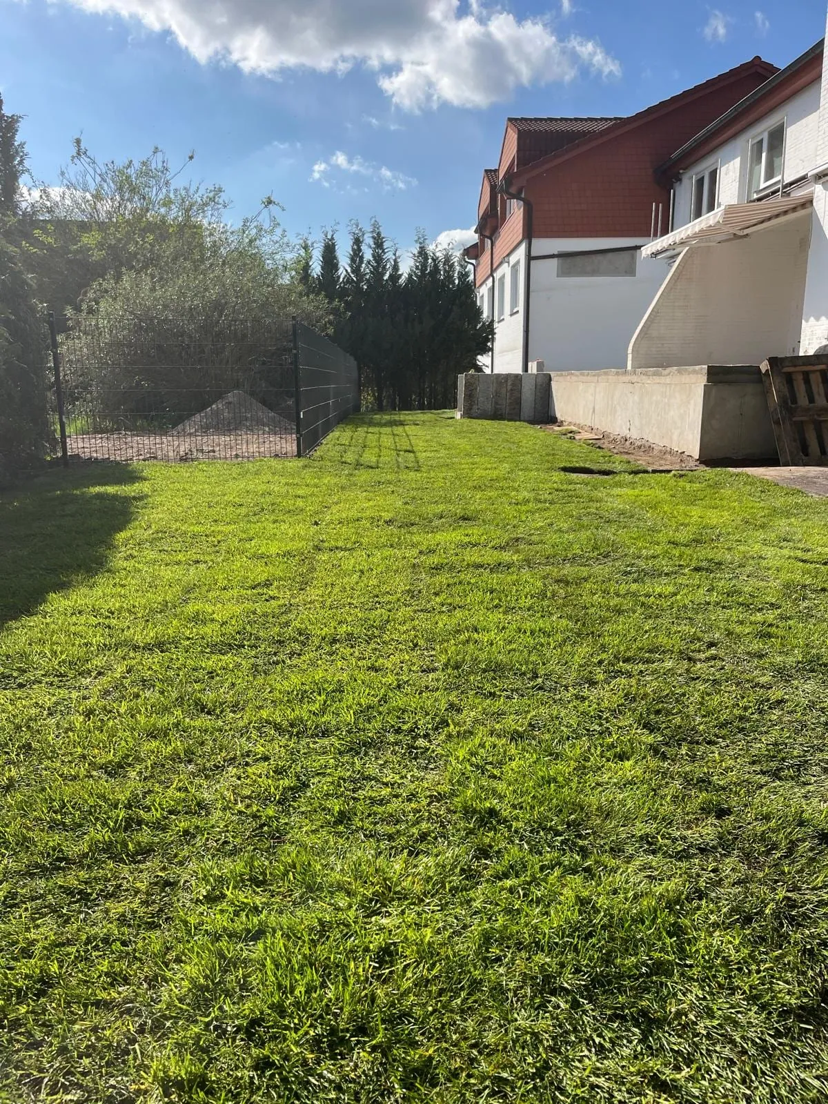 Frisch verlegte Rollrasenfläche entlang eines Wohnhauses, dahinter Betonpalisaden und ein neuer Zaun.