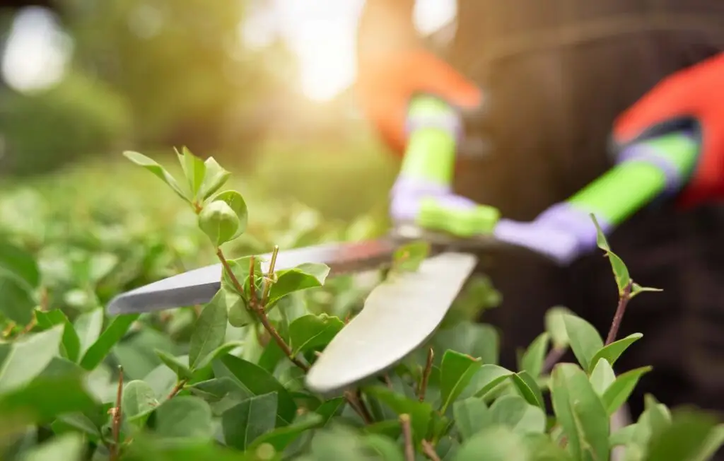 Unser Gartenbau