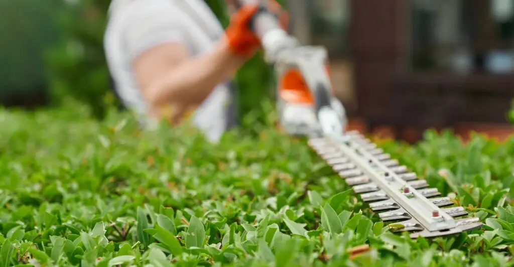 Gartenbau